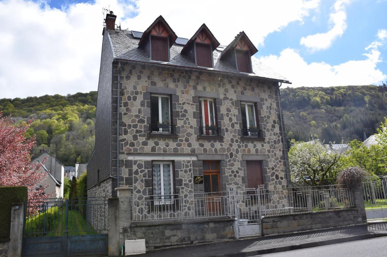 Petit Duplex De Charme Sous Les Toits Du Mont-Dore Екстериор снимка